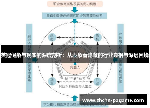 英冠假象与现实的深度剖析：从表象看隐藏的行业真相与深层困境