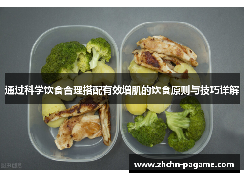 通过科学饮食合理搭配有效增肌的饮食原则与技巧详解
