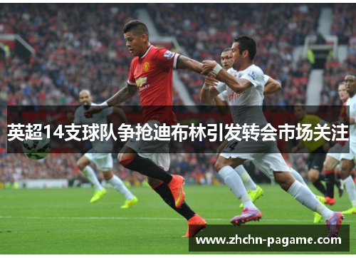 英超14支球队争抢迪布林引发转会市场关注 英超14支球队争抢迪布林引发转会市场关注