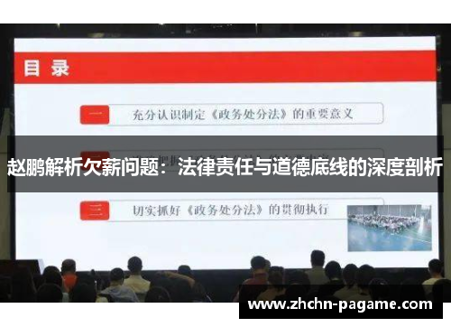 赵鹏解析欠薪问题：法律责任与道德底线的深度剖析