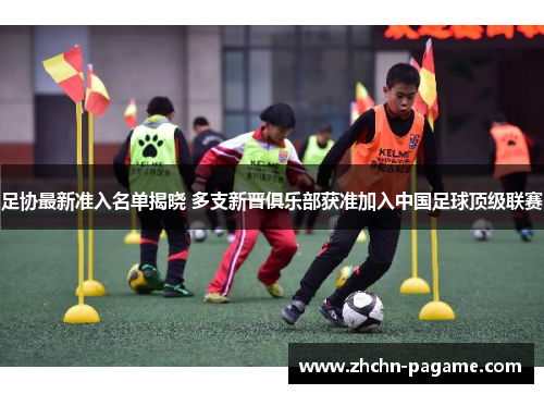 足协最新准入名单揭晓 多支新晋俱乐部获准加入中国足球顶级联赛