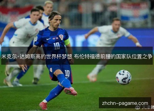 米克尔·达姆斯高的世界杯梦想 布伦特福德前腰的国家队位置之争